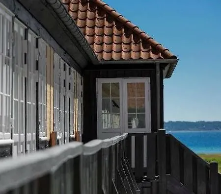 Molskroen